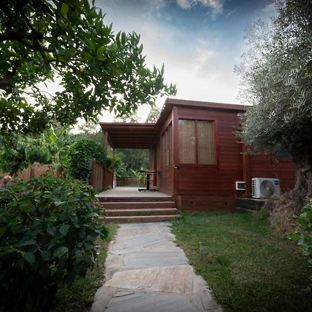 El Jardin Del Eden Villa Orgiva Exterior foto
